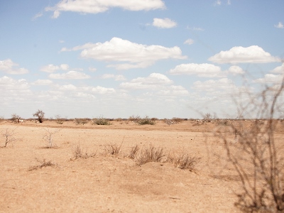 Arid Land in Daadab